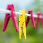 Clothes Lines & Pegs